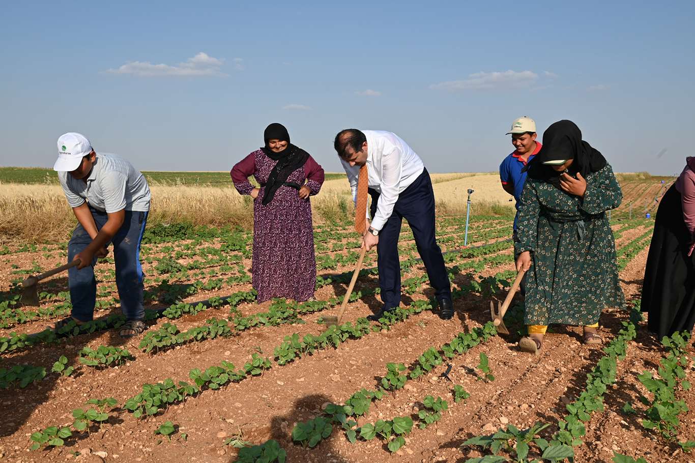 Şanlıurfa Valisi Ayhan pamuk tarlasında çalışan tarım işçilerini ziyaret etti Şanlıurfa Valisi Ayhan pamuk tarlasında çalışan tarım işçilerini ziyaret etti